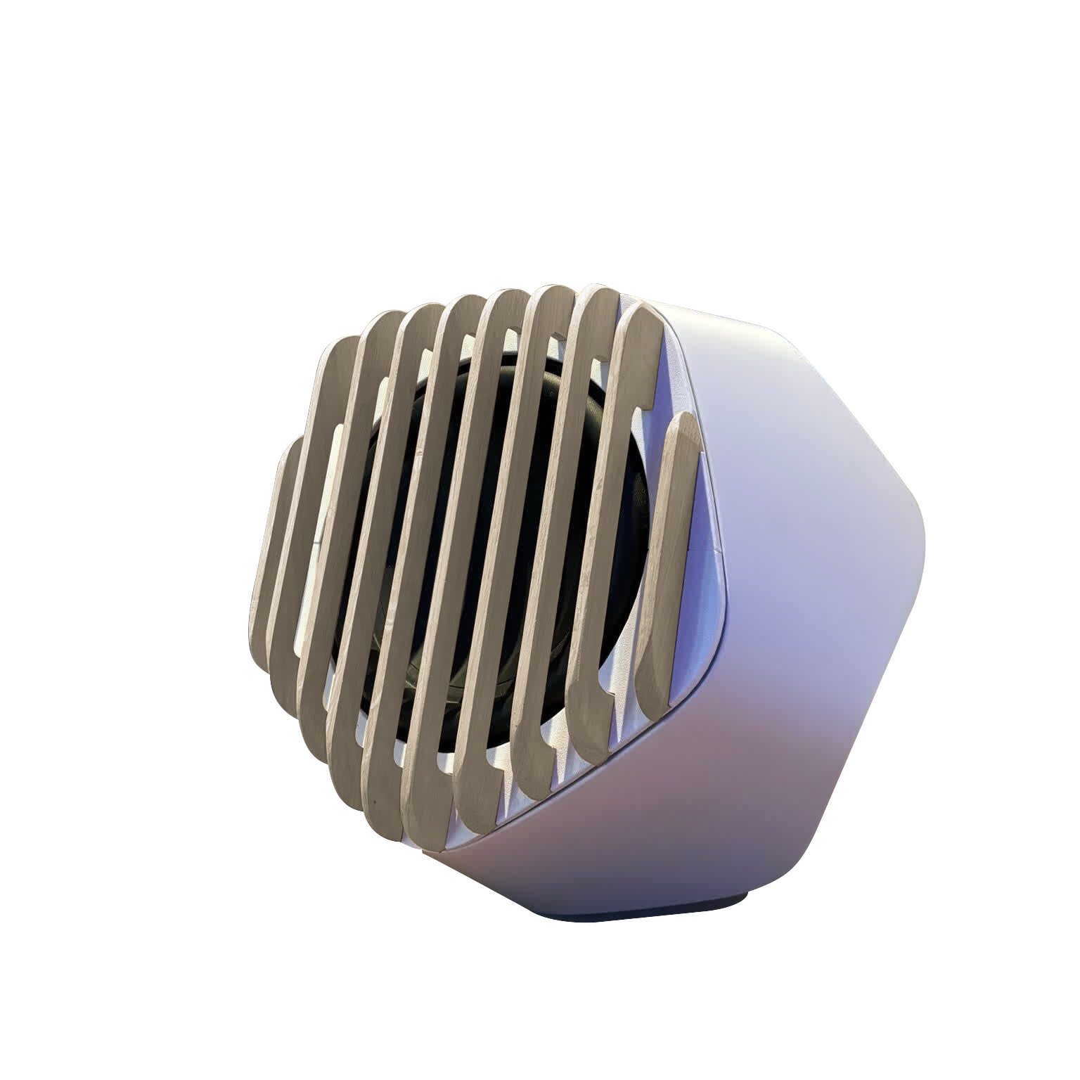 Houten Fronts voor BeoLab 19 - Birch - Wooden Fronts