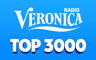 veronicatop3000